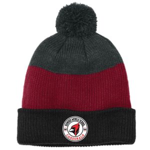 Item #C979 - Striped Beanie